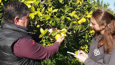 On the left Fabio Trunfio, manager, Azienda Agricola Patea; on the right, Elise Leclerc, sustainable sourcing manager at Bontoux.