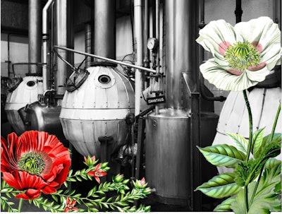 Sign up to receive a sample of the Botanist Collection, cultivated by our Botanical Experts and perfected over the years. We have infused these ingredients into various applications revealing the versatility of our natural products. Robertet’s kit features essential oil blends, a hemp-derived CBD roll-on, relaxing gummies, an infused cooking oil, and a refreshing facial mist.
