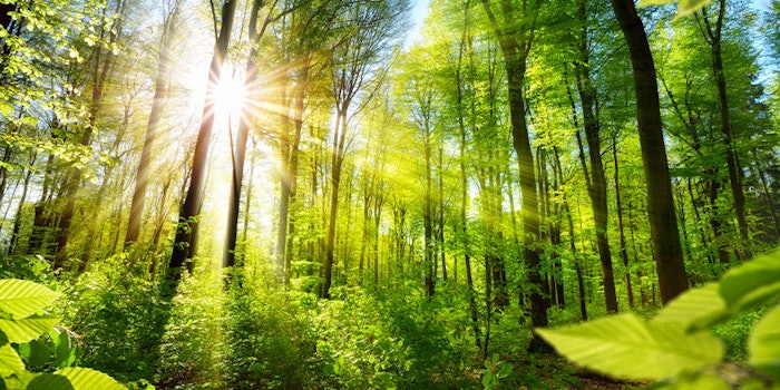 IFF earned an overall score of 73% for 2020 with noted strengths in environment and sustainable procurement.