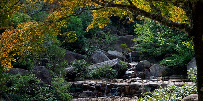 Kao is one of the first two companies in Japan to receive a Triple A score, having been included in the climate change A List for the second time, the forest A list for the first time, and the water security A List for the fourth time.