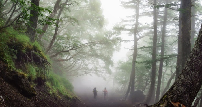 bluecali_pf2012_lead