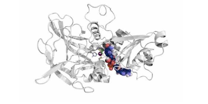 The two biotech companies expect to have their enzymes in the market by the second quarter of 2021.