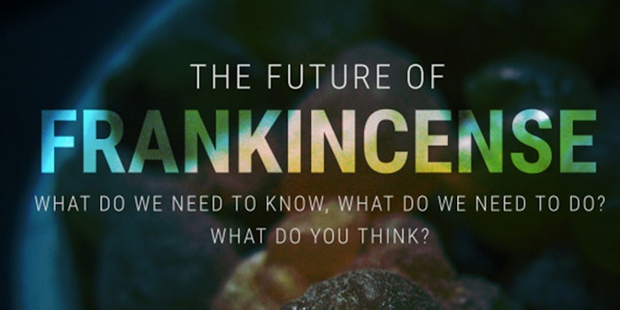 The workshop discusses actions that need to be taken to support the long-term future of frankincense trees and the communities that harvest them.