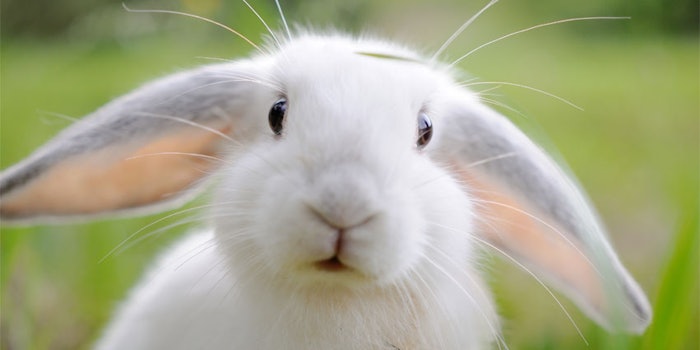 The in vitro test involves using donor lungs unfit for transplantation to test for allergens.