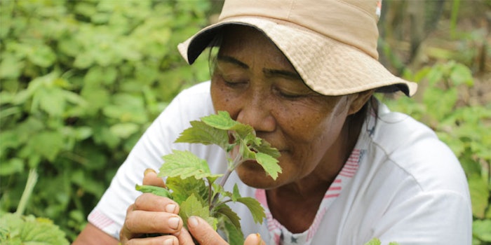 The 2020 Activity Report highlights Givaudan's ongoing positive impacts in communities where the company sources ingredients.