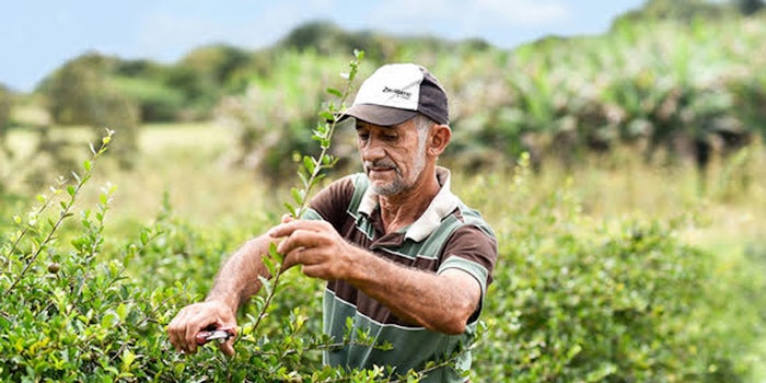 The initiative promotes sustainability and equitability among leading consumer goods manufacturers.