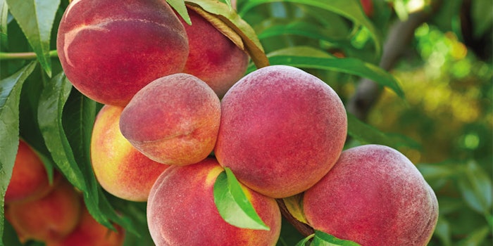 δ-Decalactone can add subtle depth and authenticity to fruits like peaches and nectarines.