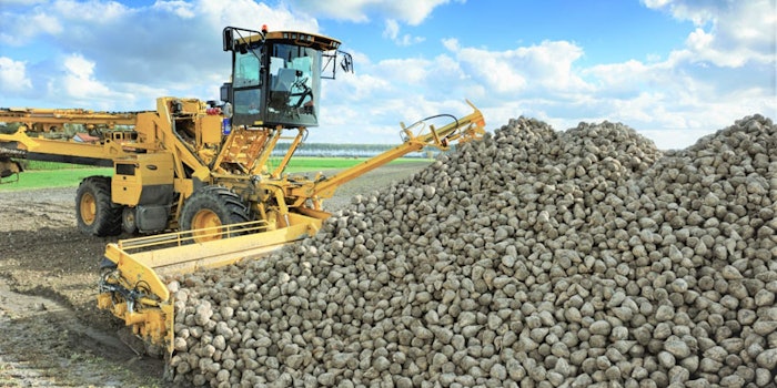 Afyren secured procurement of sugar beet co-products as feedstock for industrial scale production of its sustainable chemicals. Photo: Afyren.