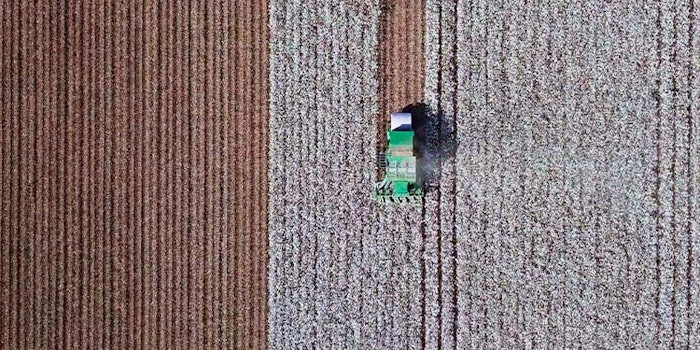 The Stoneville Legacy Club honors cotton growers across the entire Cotton Belt.