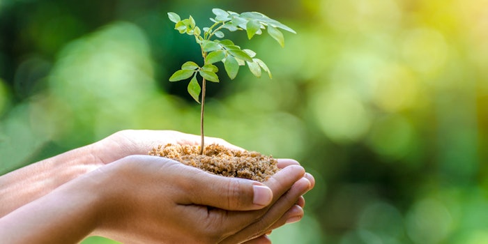 In line with P2 Science's 2020 initiative, all trees have been planted for 2020 orders.