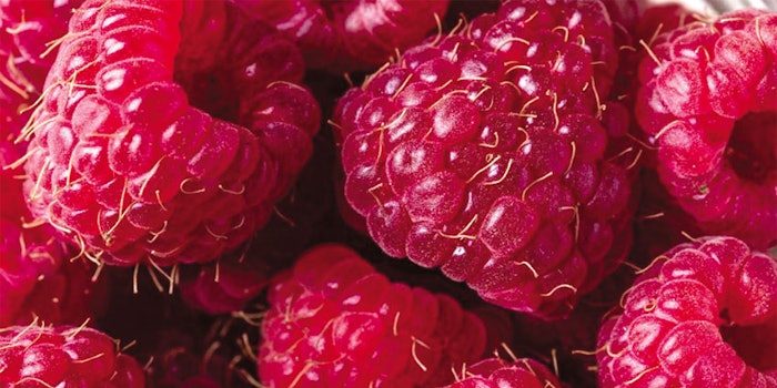 850x425_raspberry