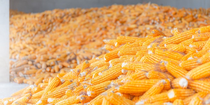 With the rise of domestic ethanol, ADM plans to restart production at its dry mills in multiple locations.