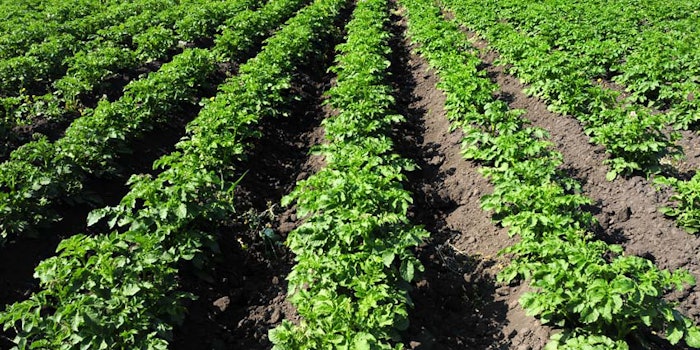 The Grow Smart Advantage Tool provides a way to find greater return on investment at harvest.