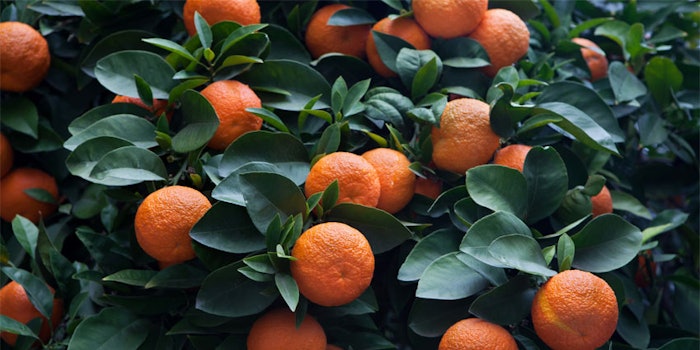 Florapeel is applicable in fine fragrance, beauty and fabric care.