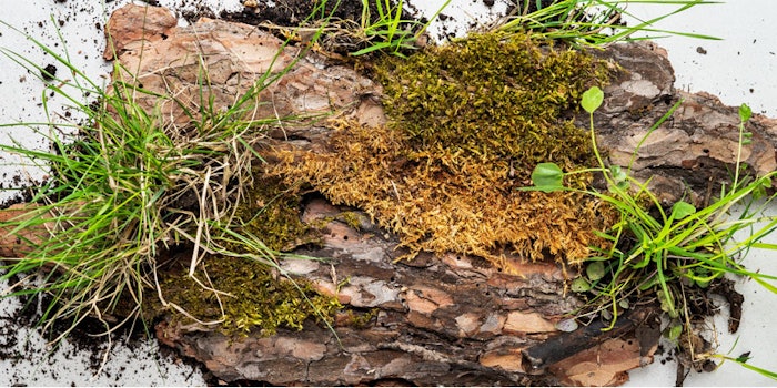 850x425_terrasol