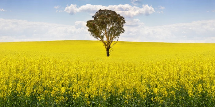 Path2Farm adds an advanced capability to the group’s responsible sourcing strategy.