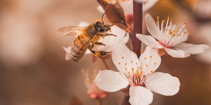 Leading companies responded to biodiversity loss by committing to the Action Agenda for Nature and People