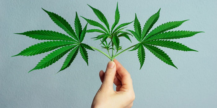 Cronos Group and Ginkgo Bioworks amended their agreement to accelerate the commercialization of cultured cannabinoids as Cronos begins commercial production of CBG.