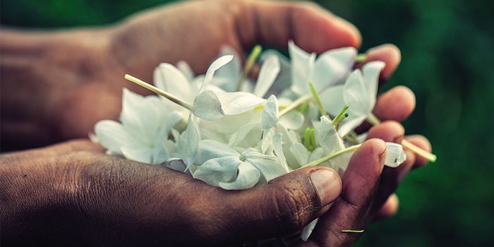 A founding member of the One Planet Business for Biodiversity Coalition, Firmenich aims to protect biodiversity and encourage regenerative agriculture.