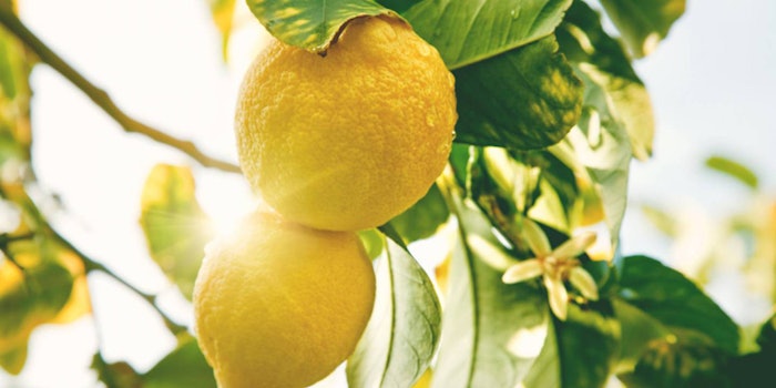 Through the SAI program, Treatt will expand safe and responsible agriculture. Photo: Treatt.