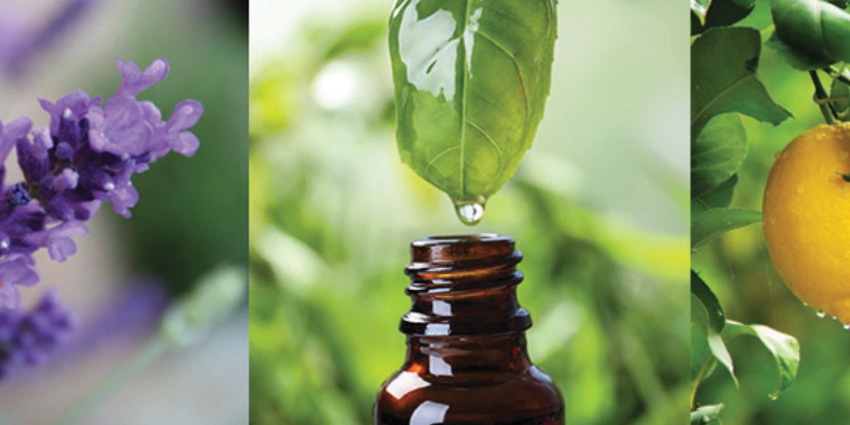 new-directionrs-aromatics-july-850