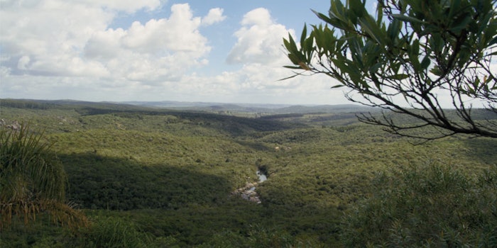 The video highlights Fueguia 1833's commitment to nature and sustainability in fragrance production.