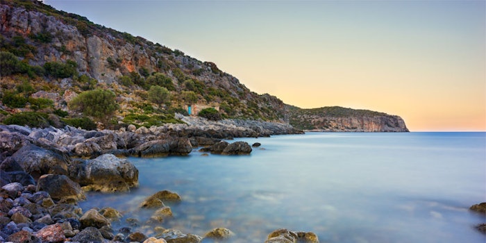 Phytogaia and Thalassogaia capture molecules from forest and ocean environments.