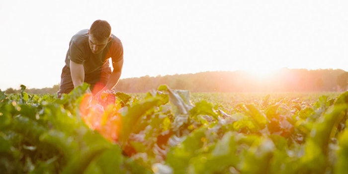 The app will create a digital agro-community comprised of Symrise Diana Food’s 13 global agronomists and its fruit and vegetable producers.