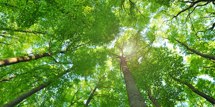 The EcoVadis assessment evaluates how well a company has integrated the principles of CSR into its business and management systems.
