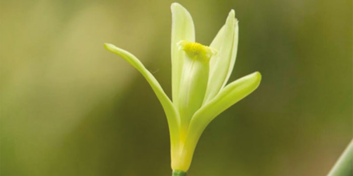 Grown in Madagascar, vanilla CO₂ brings complexity and richness to fragrances.