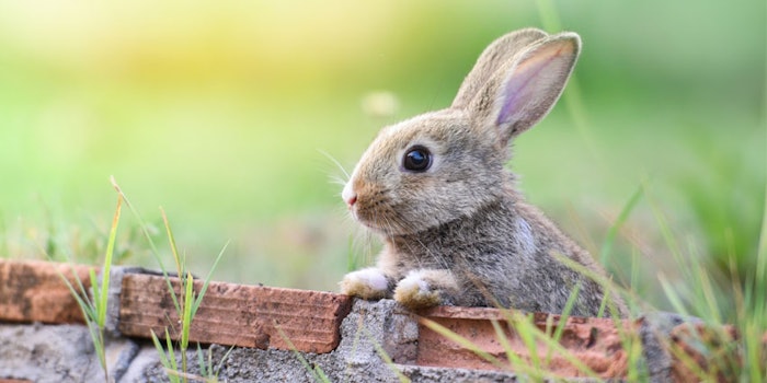 Givaudan has also pledged to contribute to real-world case studies in animal-free safety assessment.