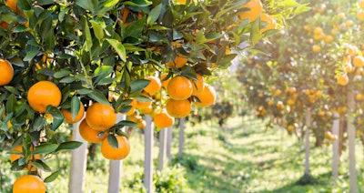 Adm Pf1211 Additional Img Horizontal