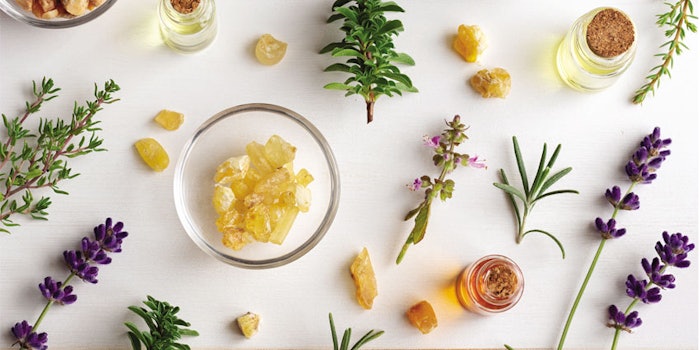 Perfumer & Flavorist+’s November issue talks biotech, savory and celebrates the return of Flavorcon.