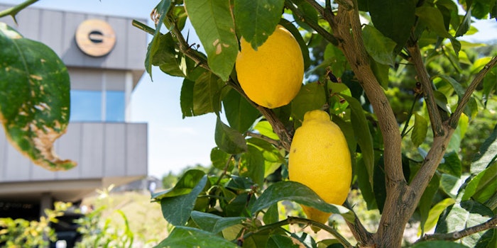 The acquisition comes as part of the group’s 2025 strategy to expand the portfolio of its global Taste & Wellbeing business.