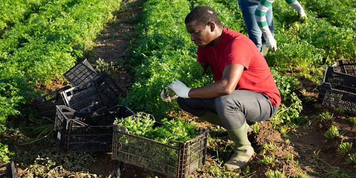 The companies will focus on the development, launch and commercialization of transformational food products.