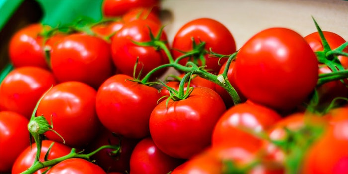 The study looked for genomes of the tomato that involved fruit softening but not fruit ripening.