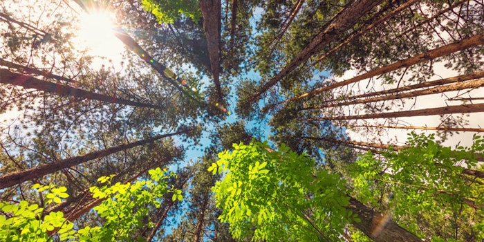 The company has increased its targets for scope 1 and 2 carbon emissions reduction from 33% to 55% by 2030.