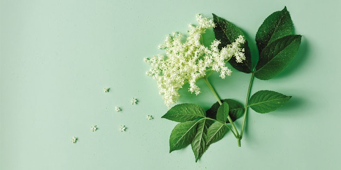 Citronellol possesses a lovely floral rose fragrance and can be helpful in obvious, as well as subtle, ways in other diverse flavors.