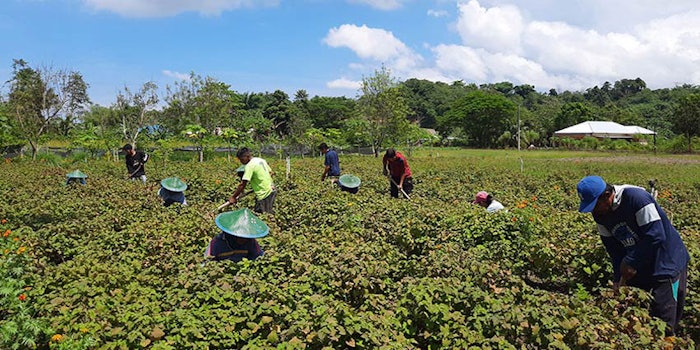 Some recent F&F sustainability initiatives include headlines from ADM, Firmenich, Kerry and Symrise.