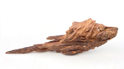 Agarwood oud is celebrated for its complex, long-lasting aroma that presents notes of barnyard, precious wood, animalic, leathery and fruity.