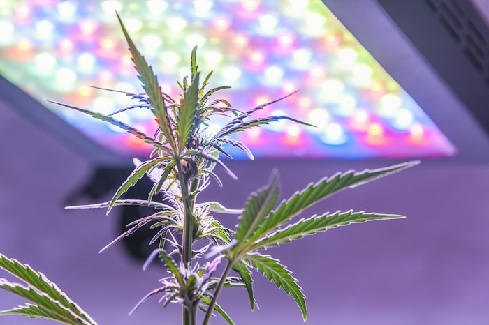 The study results provide a starting point for further research to be conducted that will be multidisciplinary in nature.