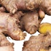 Ginger