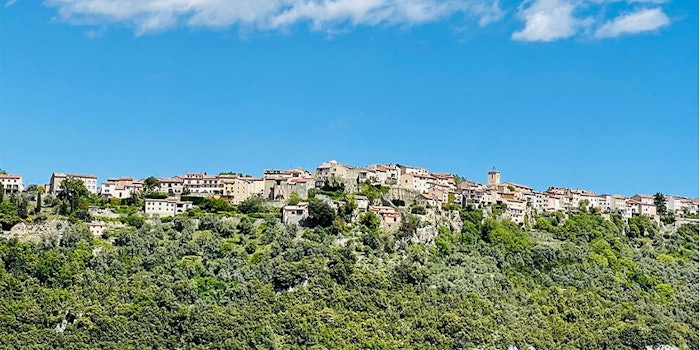 The joint venture is building a fully equipped factory in Grasse, complete with R&D and ingredient development laboratories with local partners.