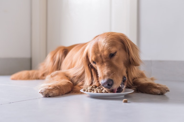 Pet Flavors' palatants are utilized by top animal health drug manufacturers in their FDA-approved pet medications.
