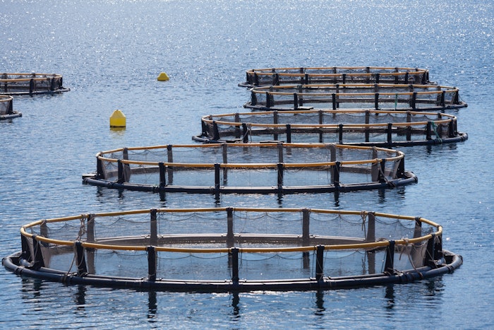 This offer will help aquaculture feed manufacturers to identify which products to supply to farmers according to their needs.