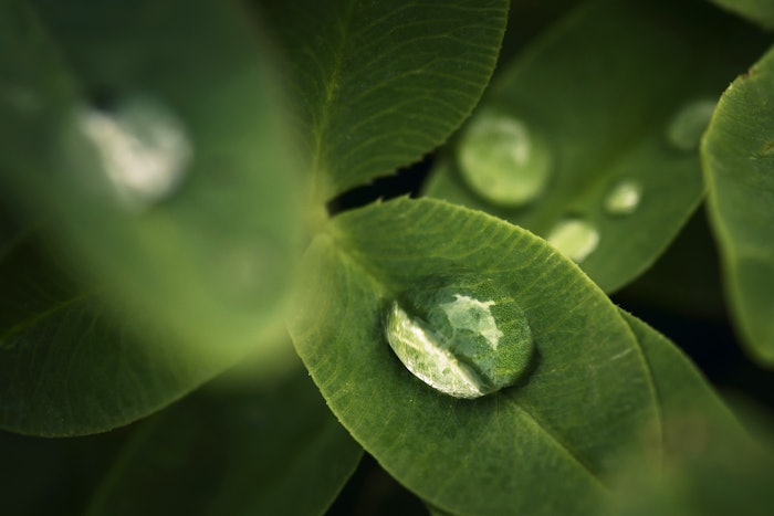 PlanetCaps is a combination of high biodegradability and renewable carbon source material, delivering long-lasting fragrance experience.