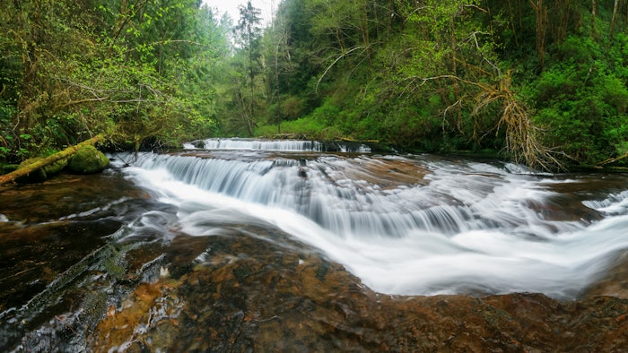 Givaudan has received a double-A rating from CDP for the third consecutive time due to its leadership in climate action and water stewardship.
