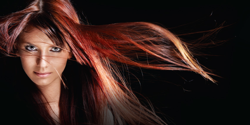 Blp2201 02 F Redhead 850x425