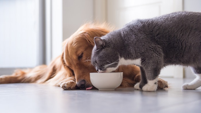 Symrise will acquire 100 % of Wing Pet Food and strengthen its market position in the areas of pet food palatability.