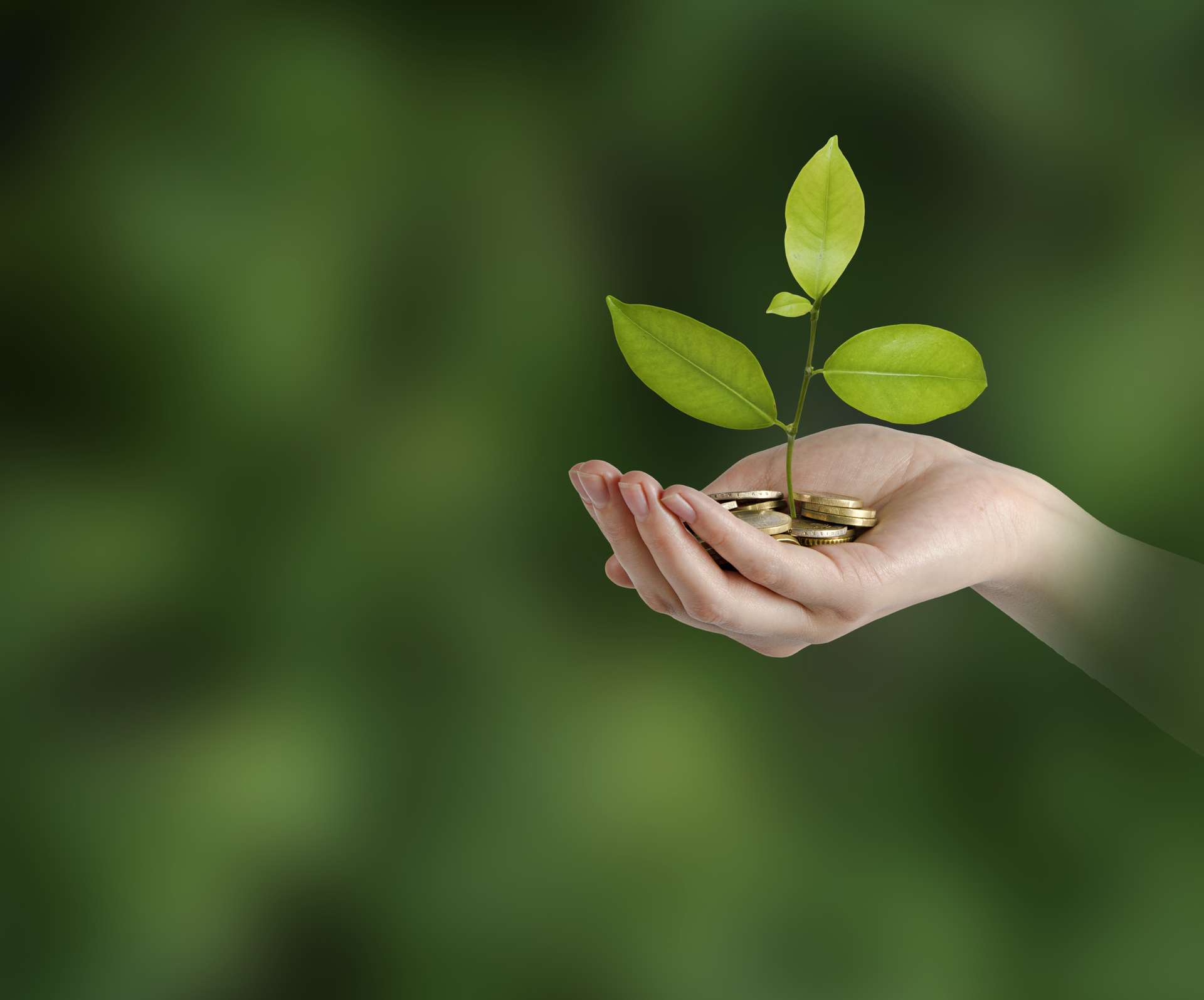 The partnership will provide New Directions with resources and capital to take advantage of the demand for natural and organic products.